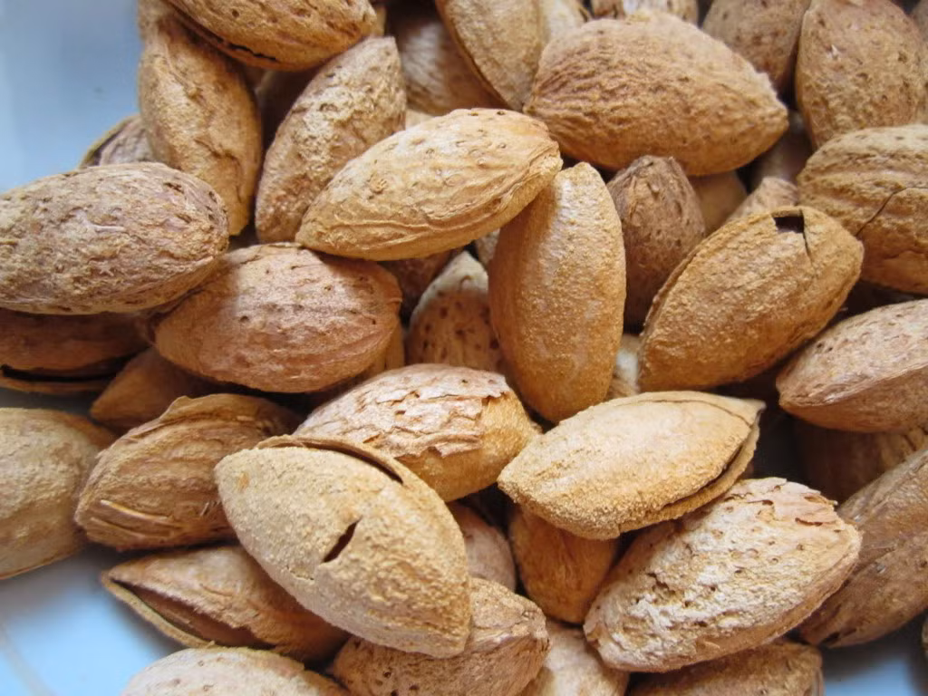 Hạt hạnh nhân rang bơ, hạt hạnh nhân rang muối có giá từ 300.000 - 400.000 đồng/kg, dòng nhập khẩu Mỹ thường đắt hơn từ 100.000 đồng/kg.