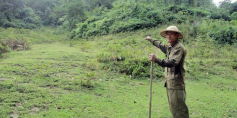 Ông Nông Văn Mần ở bản Khuông cho rằng, trước ông đã từng nhìn thấy loài báo hoa mai ở trong khu rừng này.