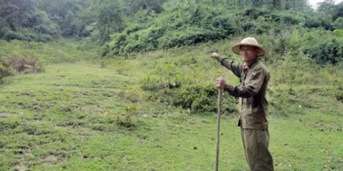 Ông Nông Văn Mần ở bản Khuông cho rằng, trước ông đã từng nhìn thấy loài báo hoa mai ở trong khu rừng này.