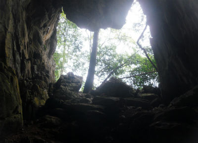 Anh Triệu Văn Long từng thoát chết khi thấy báo hoa mai xuất hiện trước miệng hang.