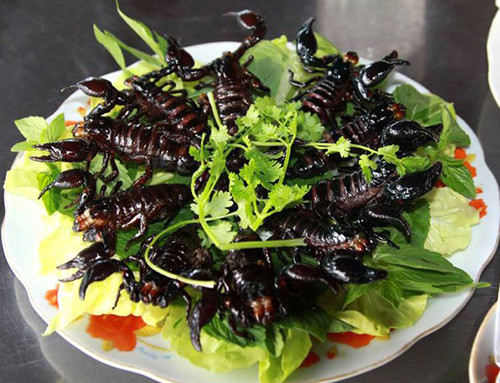 Với nhiều người, phải can đảm lắm mới dám ăn bọ cạp, song các đại gia cần tẩm bổ hay dân nhậu, loại động vật thuộc lớp hình nhện này lại là món khoái khẩu.