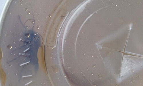 Trên thế giới, việc xuất hiện những con côn trùng, động vật đã chết trong đồ ăn cũng khiến không ít người cảm thấy ghê sợ. Gần đây, một nhà hàng KFC tại Durham (Anh) đã phục vụ cho khách một cốc nước ngọt mà trong đó có lẫn... một con con bướm đêm còn sống.