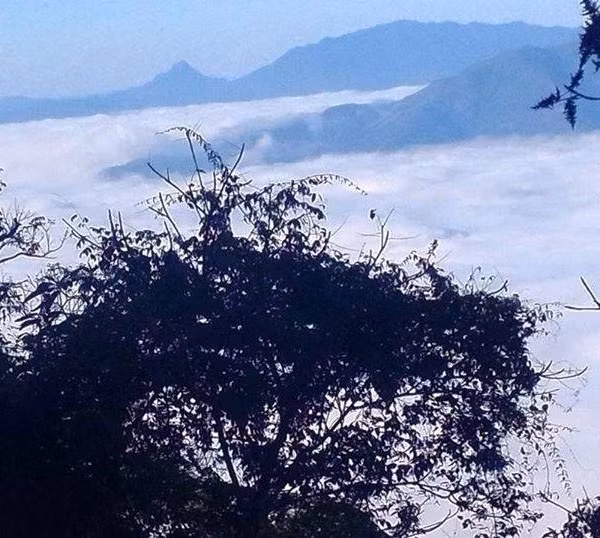 Tay Bác dep me hon trong nhũng ngay chom dong-Hinh-9