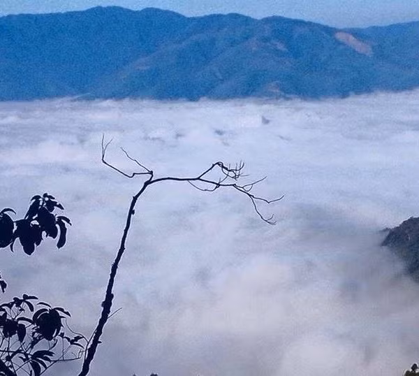 Tay Bác dep me hon trong nhũng ngay chom dong-Hinh-6