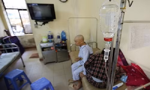 Nguoi Viet bao ve minh truoc benh ung thu the nao?-Hinh-2