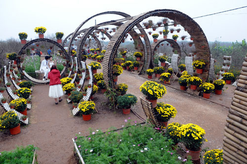 Không chỉ thu hút khách bằng những vườn hoa đa màu sắc, các chủ vườn cầu kỳ hơn, ngoài trồng hoa trang trí, tạo nhiều bối cảnh để chụp ảnh.