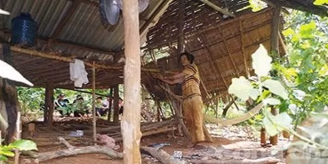 Bi to hiep dam “nhac mau”, ga chong dien cuong giet vo