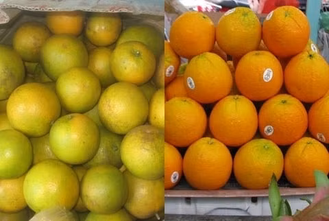 Meo cuc don gian phan biet hoa qua Trung Quoc va Viet Nam