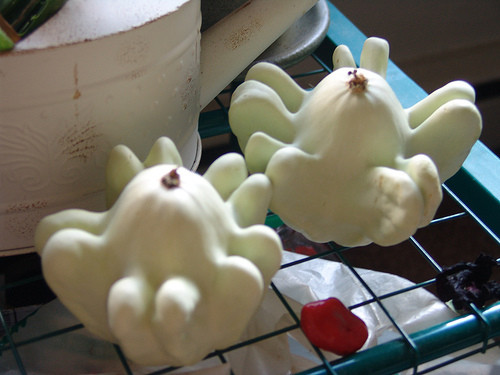 Chúng được sử dụng trong chế biến món ăn hàng ngày và làm các món đồ trang trang trí tuyệt vời cho mùa thu (đặc biệt là dịp Halloween cuối tháng 10).