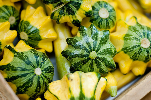 Thoạt nhìn, nhiều người có thể lầm tưởng chúng là giống bí ngô đĩa bay, tuy nhiên, các cạnh của bí ngô ngón tay dài hơn rất nhiều và chúng có 10 cạnh, tương ứng với số ngón tay trên bàn tay người. Ảnh bí ngô đĩa bay.