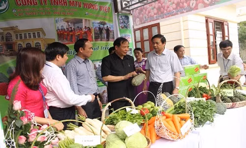 Tro chuyen voi giam doc nong dan buon rau di 7 quoc gia-Hinh-3