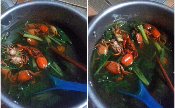 Đây không phải lần đầu dân mạng "tá hỏa" khi các nàng dâu, bà vợ vào bếp với các món "nguyên con" gây sốc. Trong hình là bát canh cua nguyên con, không tách mai, lấy gạch, không qua sơ chế, khiến dân tình khóc thét.