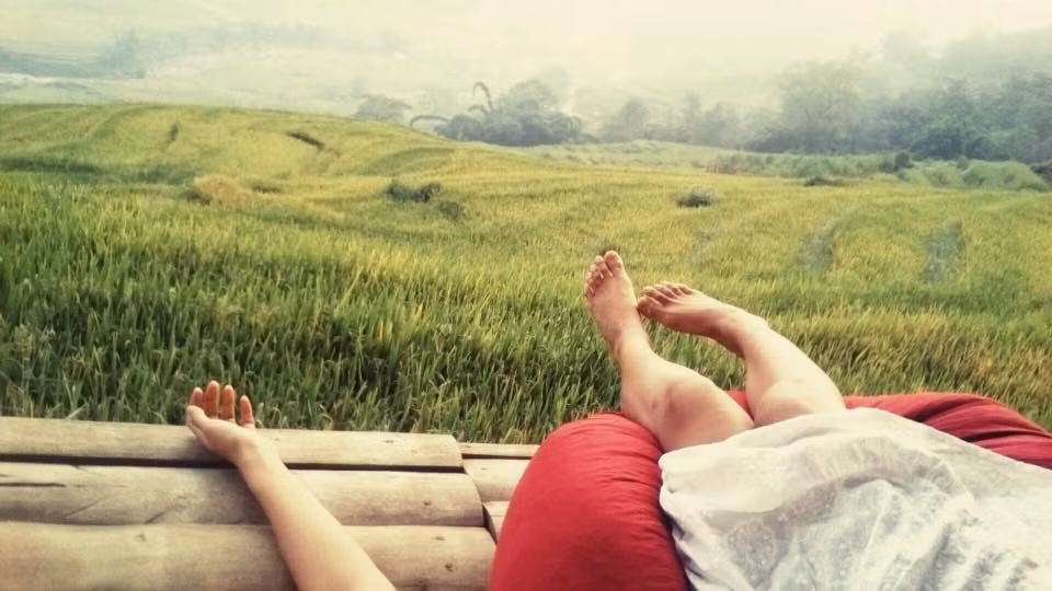 View cánh đồng lúa "không thể gần hơn" của homsestay này khiến dân tình thích thú. Ảnh: Ecopalmshouse.