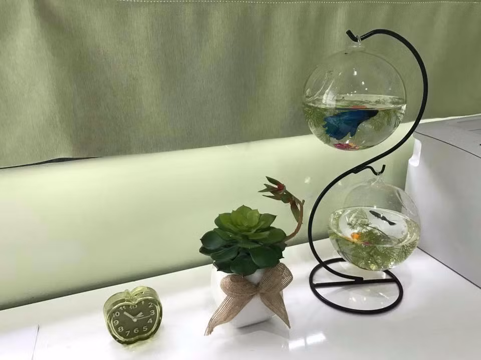 "Choáng" với bộ sưu tập đồ "xanh toàn tập".