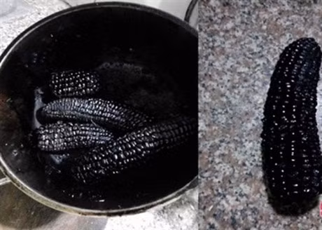 Cười sặc nước bọt với món ngô luộc "made in" vợ vụng thối, vụng nát.