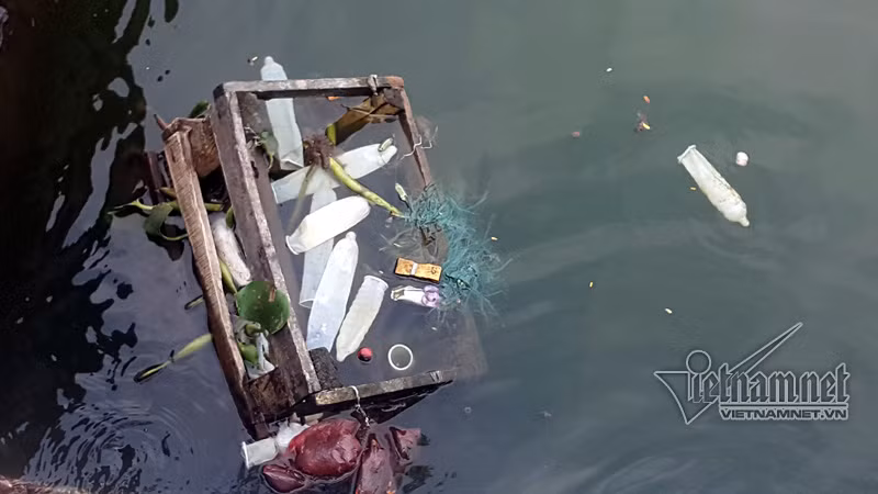 Những chiếc bao cao su, băng vệ sinh lẫn với rác thải bị ném xuống hồ.