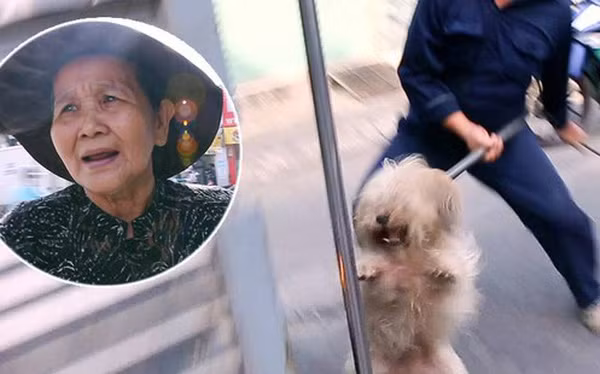 Đang đi chợ cùng chủ, chú chó "không may" bị bắt "tạm giam.