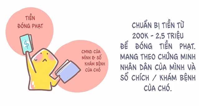 Tùy theo mức độ vi phạm quy định mà số tiền nộp phạt để "cứu" thú cưng có thể lên đến 2,5 triệu đồng.