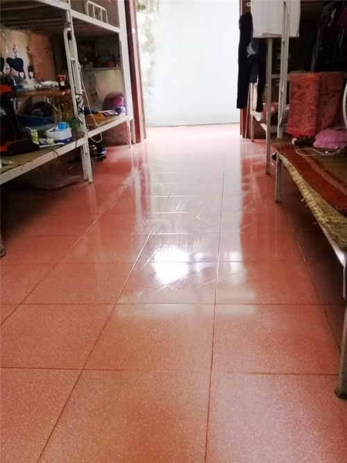 Không thể sống chung với ổ bệnh, cô nàng H.T đành phải bắt tay vào dọn phòng trong sự ức chế "không hề nhỏ".