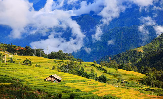 Khách du lịch có thể thuê xe máy từ thị trấn Sapa để chạy vào thưởng ngoạn cảnh mùa vàng và tận hưởng không khí mát lành, sảng khoái. Ảnh: Nguyễn Trung Quân.