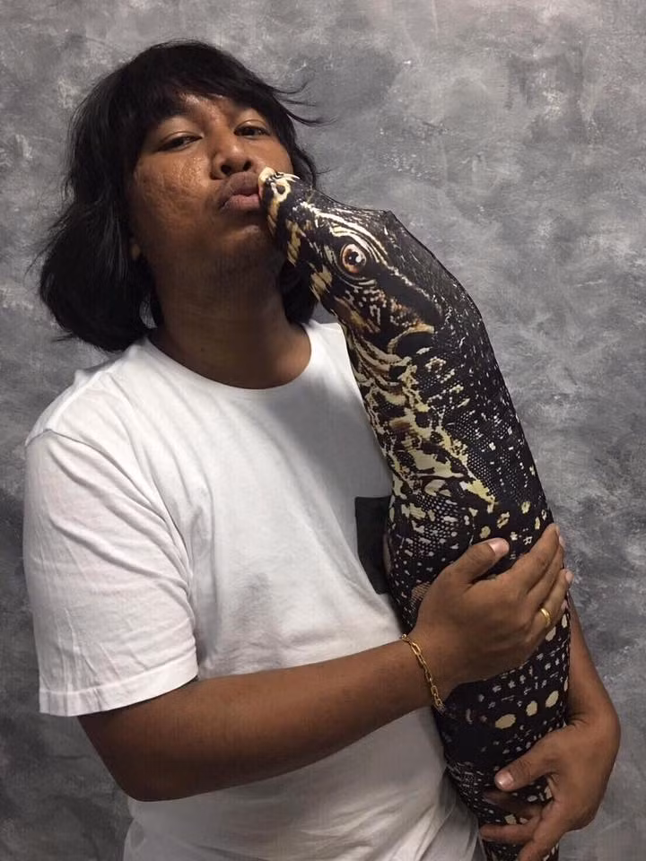 Các loài bò sát trở thành gối ôm cũng là một ý tưởng khá lạ.