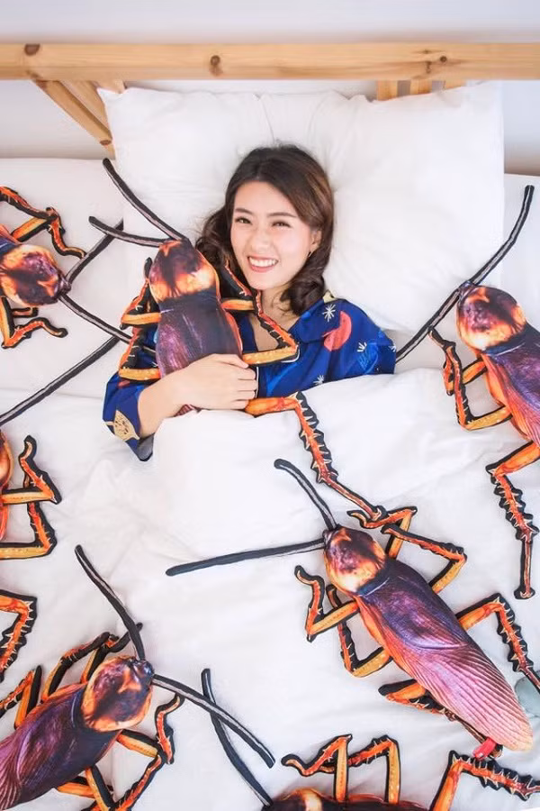 Thậm chí có bạn trẻ Việt còn hài hước cho rằng, nếu có ai bị mất ngủ, thì việc ôm chú gián Peter này sẽ khiến người đó ngủ ngon hơn và có những giấc mơ đẹp.