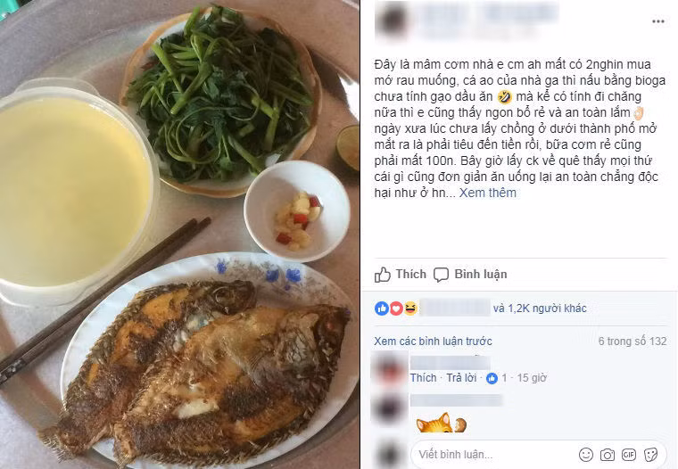 Lý giải cho mâm cơm 2000 đồng gây tranh cãi, Anh Hà viết: "Đây là mâm cơm nhà em các mẹ ạ, mất có 2.000 mua mớ rau muống. Cá ao của nhà, ga thì nấu bằng bioga. Cô nàng cho hay, nếu chưa tính gạo, dầu ăn, mà kể có tính đi chăng nữa thì vẫn thấy ngon, bổ, rẻ.