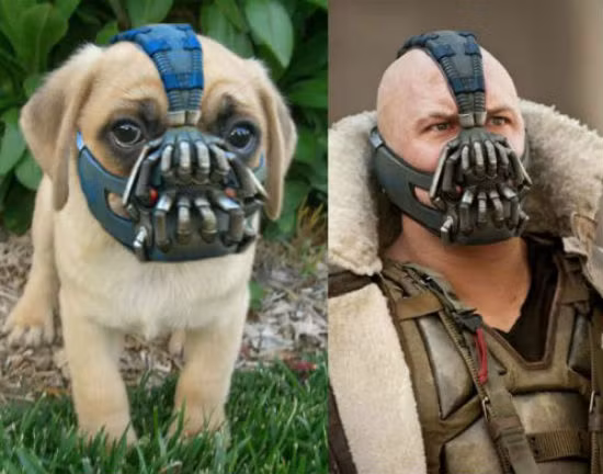 Riêng mình "em" một phong cách.