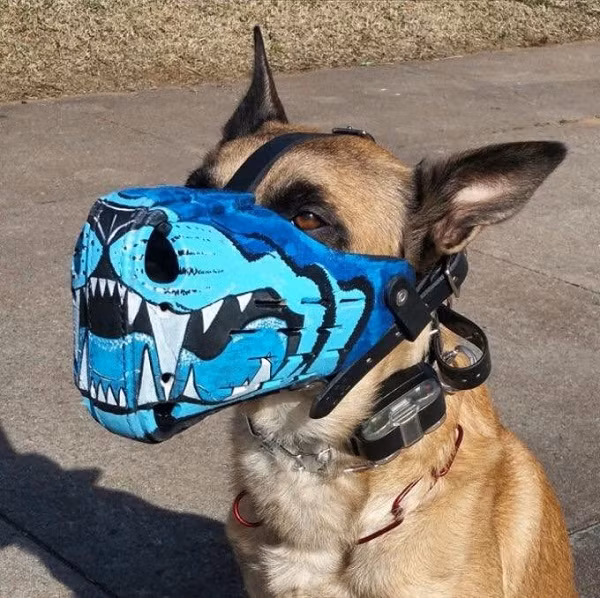 Tự tin dạo phố với chiếc rọ mõm sắc màu.