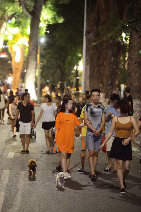 Khi bị cấm không cho vật nuôi không rọ mõm vào phố đi bộ, không ít chủ chó tìm cách lách luật. Với những con chó nhỏ, họ bỏ chúng vào túi xách, giỏ đựng để qua mặt lực lượng chức năng. Hành động này đã khiến cộng động mạng bức xúc. Ảnh: Dân Việt