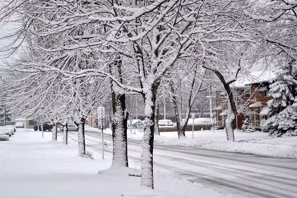 "Thử tưởng tượng các con phố Phan Đình Phùng, Hoàng Diệu, Hoàng Hoa Thám... với những hàng cây phủ đầy tuyết trắng sẽ lãng mạn như trong phim Hàn Quốc" - tài khoản Thule bình luận trên một diễn đàn về thời tiết. Ảnh minh họa (nguồn: Internet).