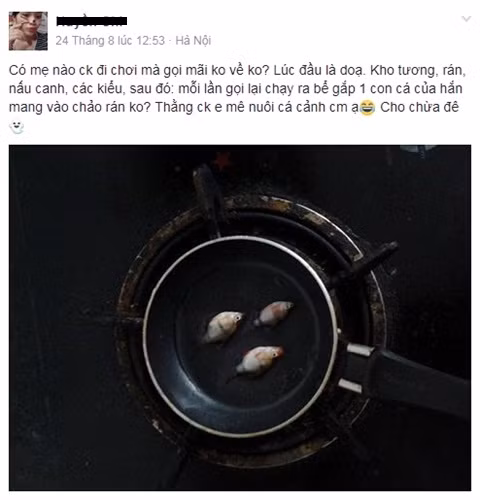 Đây không phải lần đầu các bà vợ "bá đạo" dùng cách này để "trả đũa" chồng. Tài khoản N.T.T.H (21 tuổi ở Hà Nội) từng đăng tải: "Có mẹ nào chồng đi chơi mà gọi mãi không về không? Lúc đầu là doạ: kho tương, rán, nấu canh, các kiểu, sau đó mỗi lần gọi lại chạy ra bể gắp 1 con cá của hắn mang vào chảo rán...". Cô vợ này đã hỏi chồng: "Anh về muộn ko biết xin lỗi à?", không ngờ chồng phản pháo "thế ai xin lỗi cá cho tôi".