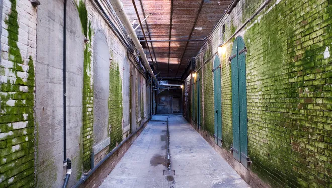 Hành lang nhà tù Alcatraz.