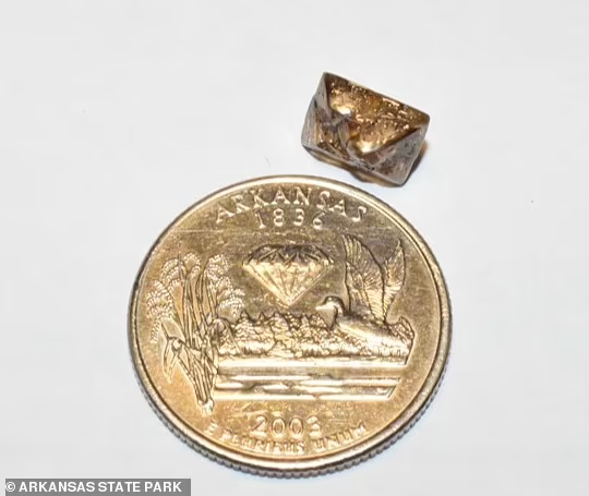 Hai anh em đều vô cùng kinh ngạc và vui mừng trước phát hiện mới nhất của David, vì đây là viên kim cương lớn nhất mà họ từng mang về nhà. Ảnh: DM.