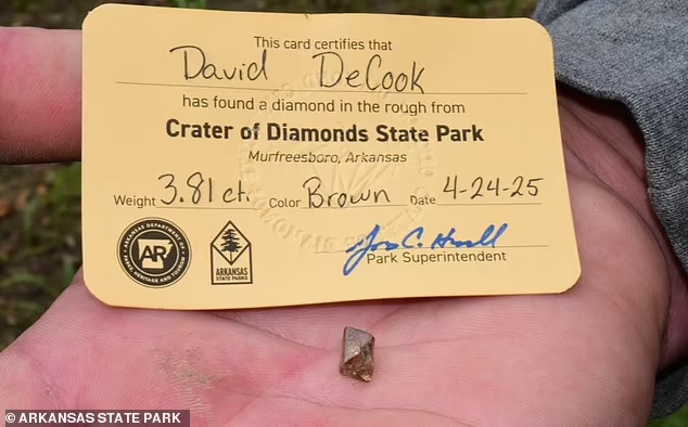 Được biết, một ngày trước khi David và gia đình đến khám phá công viên và tìm thấy kim cương, nơi này vừa có mưa lớn. Ảnh: DM.