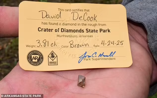 Được biết, một ngày trước khi David và gia đình đến khám phá công viên và tìm thấy kim cương, nơi này vừa có mưa lớn. Ảnh: DM.