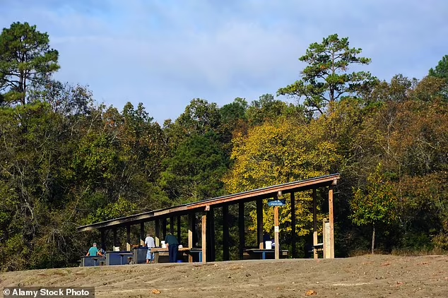 Được biết, David và anh trai, Derek, thường xuyên đến Công viên Crater of Diamonds ở Murfreesboro - nơi cho phép mọi người đi dạo và "săn" kim cương. Họ đã mang về nhà nhiều đồ trang sức trong những năm qua. Ảnh: Alamy.