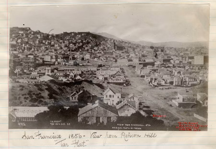 Con sot vang bien San Francisco thanh do thi sam uat the nao?-Hinh-15