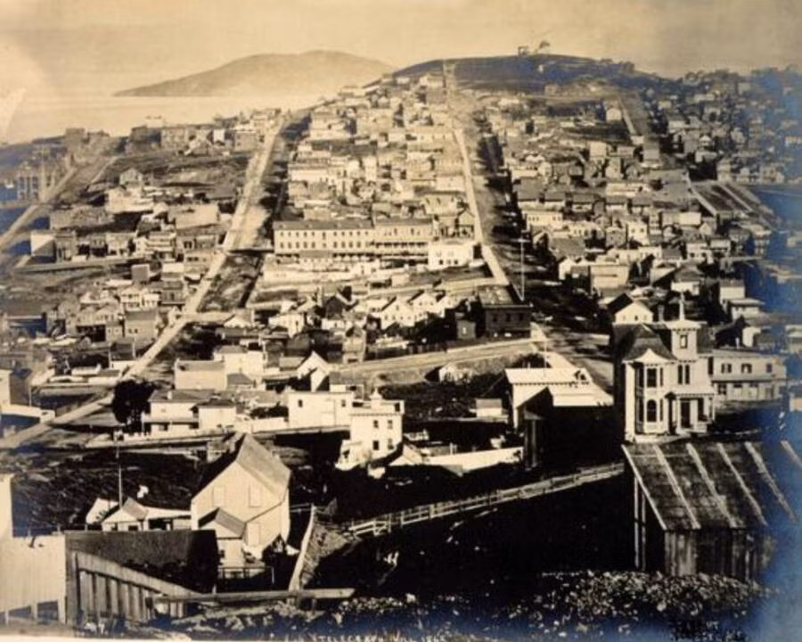 Con sot vang bien San Francisco thanh do thi sam uat the nao?-Hinh-8