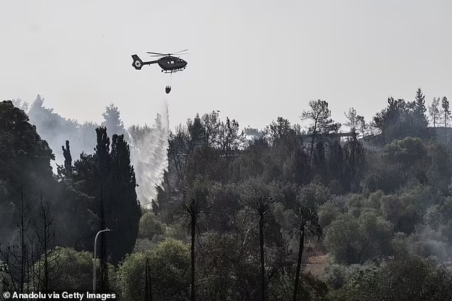 Cháy rừng lớn nhất lịch sử, Israel ban bố tình trạng khẩn cấp - Hình 2 Chay rung lon nhat lich su, Israel ban bo tinh trang khan cap-Hinh-2