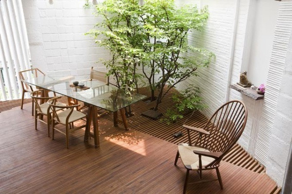 Bố trị không gian ăn uống ở ngay cạnh giếng trời, nơi đặt thêm chậu cây mọc dài ra bên ngoài.