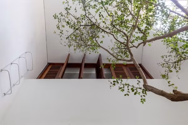 Giếng trời là một trong những giải pháp kiến trúc không lấy đi quá nhiều diện tích nhưng lại mang đến vô vàn lợi ích tuyệt vời cho những căn nhà phố. Đặc biệt là vào mùa hè, khi bóng cây tỏa bóng xuống sàn nhà, giếng trời trở thành điểm nhấn đặc biệt cho tổng thể không gian kiến trúc.