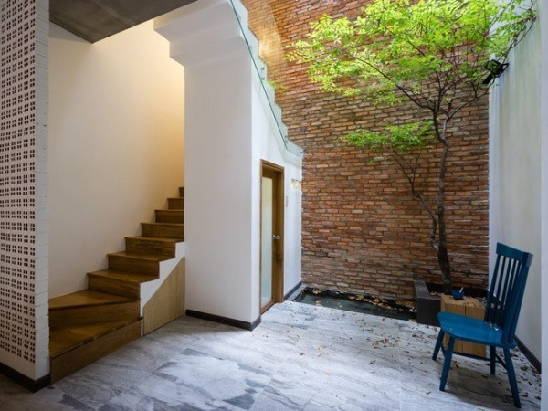 Dành góc nhỏ để trồng cây. Gốc cây xanh tươi ươm bóng nắng nổi bật trên nền tường gạch vô cùng ấn tượng.