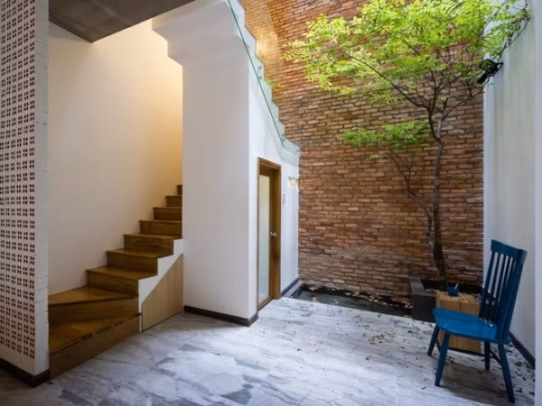 Dành góc nhỏ để trồng cây. Gốc cây xanh tươi ươm bóng nắng nổi bật trên nền tường gạch vô cùng ấn tượng.