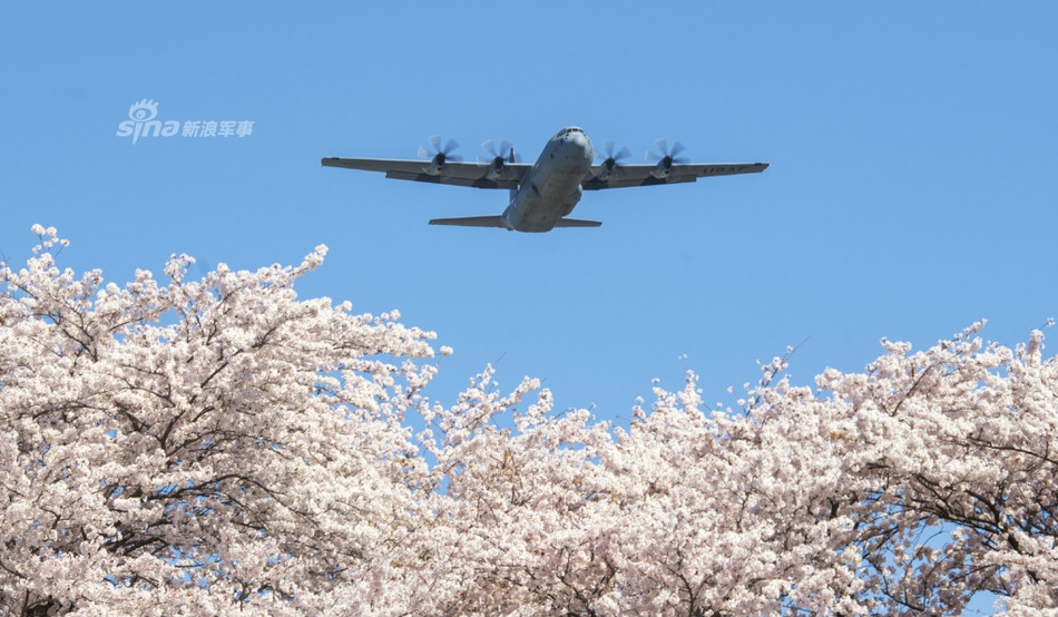 Không quân Mỹ hiện đang có ba phi đoàn vận tải C-130 hoạt động tại Mỹ. Bao gồm phi đoàn không vận đặc biệt số 1 ở căn cứ không quân Kadena, phi đoàn không vận đặc biệt số 17 cũng đóng tại sân bay Kadena và phi đoàn không vận số 36 đóng tại Yokota. Nguồn ảnh: Sina.