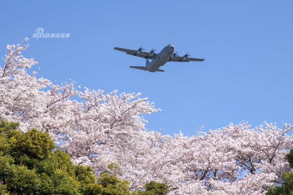 Phi đoàn không vận số 36 hiện đang đóng quân tại Yokota, Nhật bản. Nguồn ảnh: Sina.