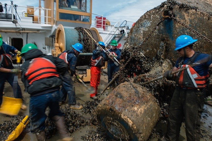 Cạo các con trai bám vào một quả phao trước khi đẩy phao trở lại xuống biển.