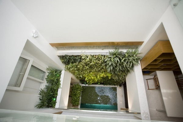 Không chỉ trồng cây, khoảng giếng trời còn được sử dụng như một không gian đa năng tăng khả năng sáng tạo và thiết kế vô hạn của con người. Giếng trời của nhà phố có thể sử dụng để thiết kế những bức tường xanh. Phía dưới sàn có thể tạo thêm một chức năng hữu ích.