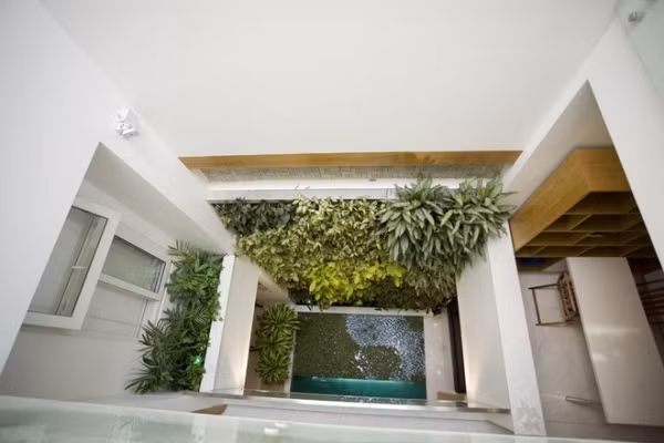 Không chỉ trồng cây, khoảng giếng trời còn được sử dụng như một không gian đa năng tăng khả năng sáng tạo và thiết kế vô hạn của con người. Giếng trời của nhà phố có thể sử dụng để thiết kế những bức tường xanh. Phía dưới sàn có thể tạo thêm một chức năng hữu ích.