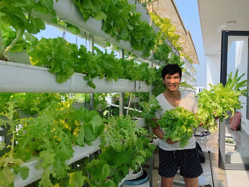 Lý Hải bên vườn rau xanh mướt tại nhà Lý Hải bên vườn rau xanh mướt tại nhà